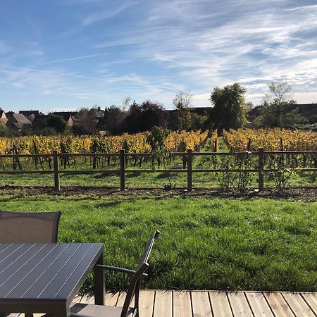 Domaine Rosfelder - Locations De Gite Et Cabane Insolite Gertwiller Exterior foto